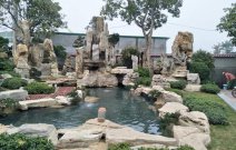 Thi công hồ cá koi tại Tây Ninh 