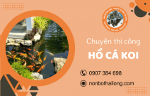 Đơn vị chuyên thi công hồ cá Koi đẹp giá tốt tại Tây Ninh