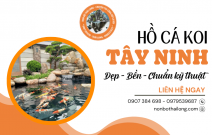 Cảnh Quan Thái Long nhận làm hồ cá Koi Tây Ninh đẹp, bền, chuẩn kỹ thuật