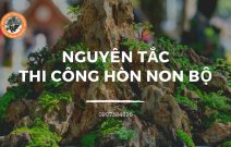 Bật mí 5 nguyên tắc “vàng” trong việc thi công hòn non bộ