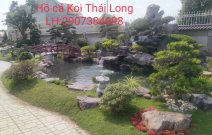 Các mẫu thiết kế hồ cá Koi siêu hot, siêu ấn tượng phù hợp với xu hướng 2020