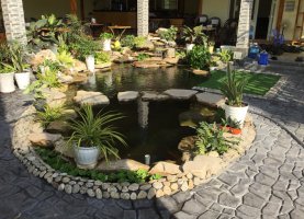 Thi Công Hồ Cá Koi Cà Phê, Đường 30/4 Thành Phố Tây Ninh.