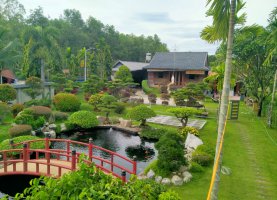 Hồ Cá Koi Tại Nhà Riêng Non Bộ Thái Long