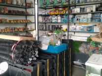 Chuyên cung cấp thiết bị lọc hồ cá Koi
