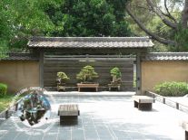 THIẾT KẾ SÂN VƯỜN