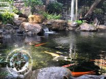 Non bộ đẹp