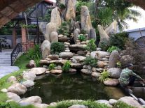 Hòn Non Bộ Thái Long