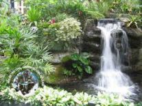 Tiểu cảnh ngoài trời mẫu 02