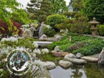 Tiểu cảnh ngoài trời mẫu 01