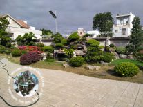 mẫu hồ cá koi đẹp 16