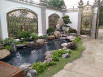 Hồ cá Koi nhà ca sĩ lylychen Bến Cầu Tây Ninh 