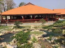 Mẫu Hồ Cá Koi 16