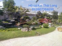 Mẫu hồ cá Koi đẹp 16