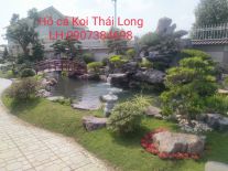 Mẫu Hồ Cá Koi Đẹp 14