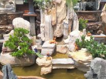 non bộ đá cổ thạch