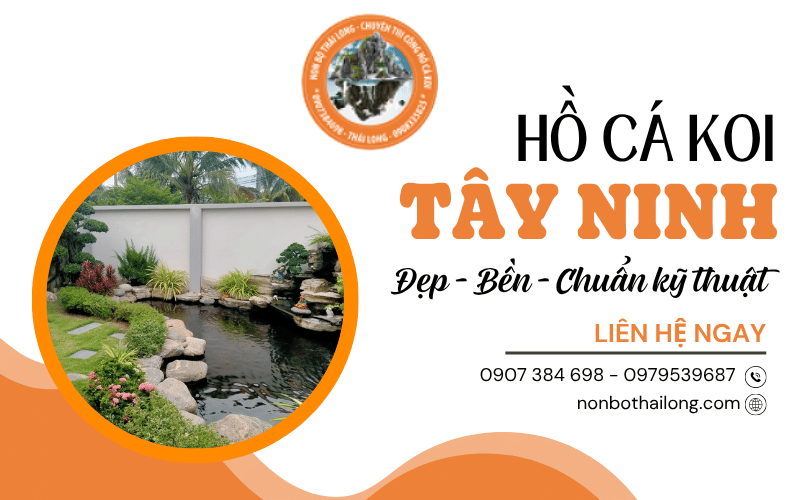 hồ cá Koi Tây Ninh