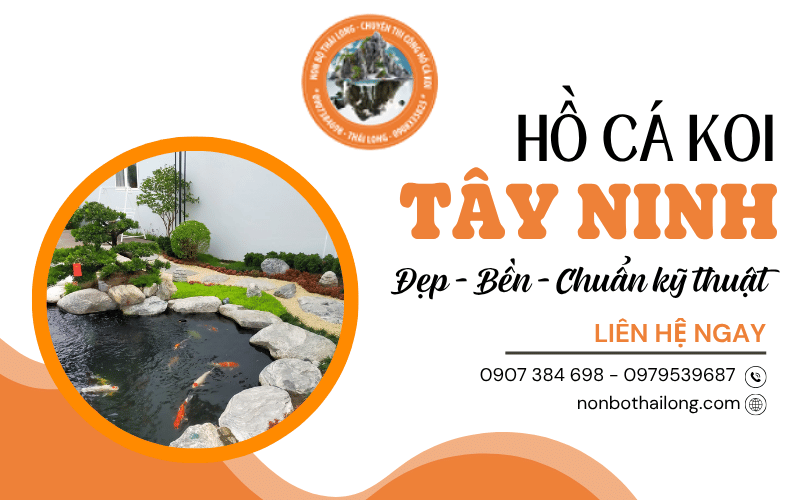 hồ cá Koi Tây Ninh