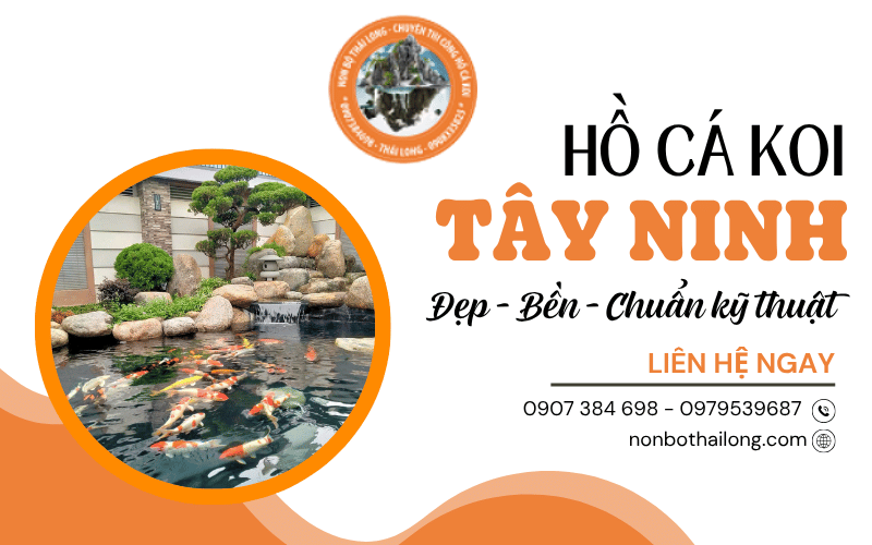 hồ cá Koi Tây Ninh