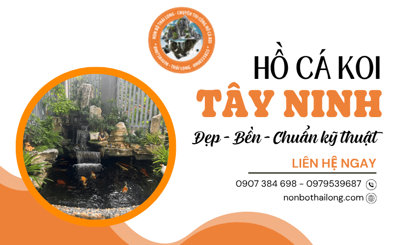 hồ cá Koi Tây Ninh