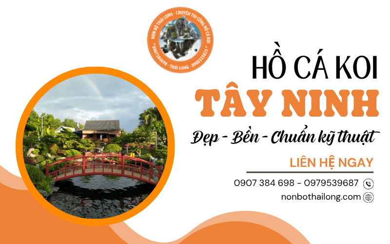 hồ cá Koi Tây Ninh
