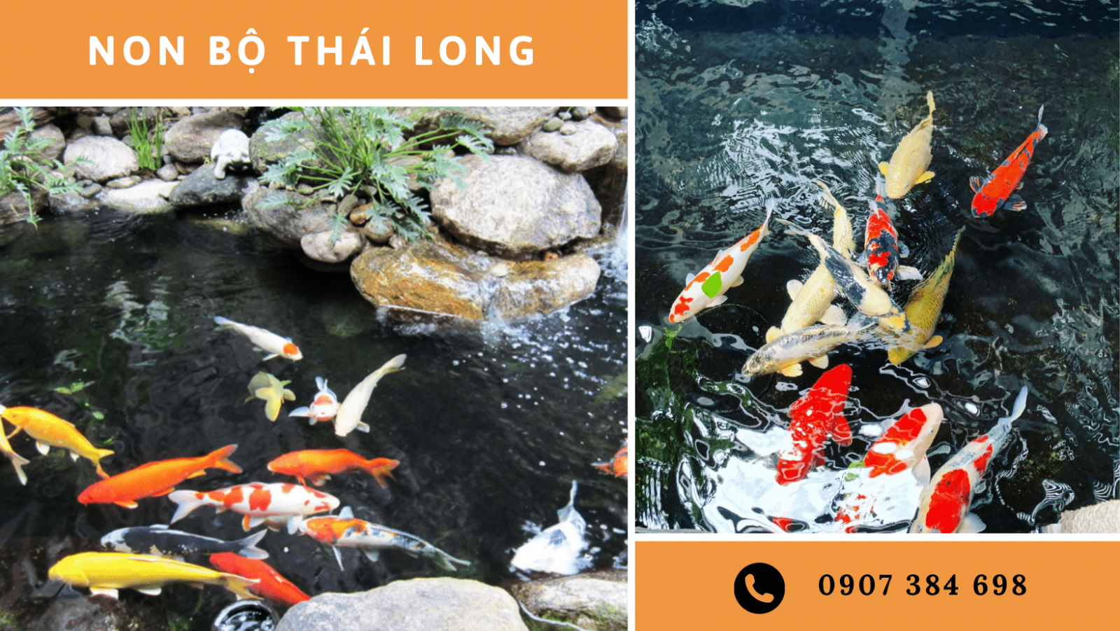 thi công hồ cá Koi