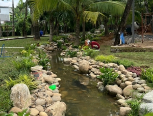 Dòng Suối Trải Bạt Dài 60m