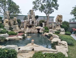 Thi công hồ cá koi tại Tây Ninh 