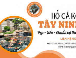 Cảnh Quan Thái Long nhận làm hồ cá Koi Tây Ninh đẹp, bền, chuẩn kỹ thuật