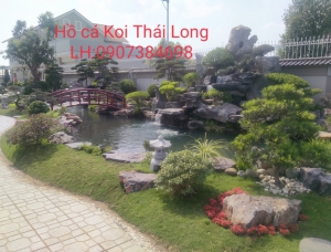 Các mẫu thiết kế hồ cá Koi siêu hot, siêu ấn tượng phù hợp với xu hướng 2020