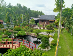 Hồ Cá Koi Tại Nhà Riêng Non Bộ Thái Long